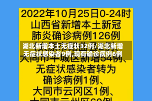 湖北新增本土无症状32例/湖北新增无症状感染者9例,现有确诊病例6例