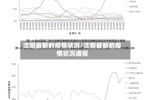 沈阳最新的疫情状况/沈阳最新的疫情状况通报