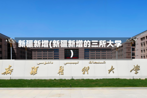 新疆新增(新疆新增的三所大学)