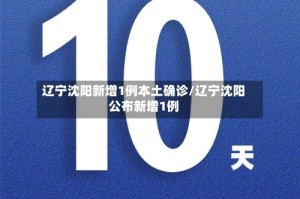 辽宁沈阳新增1例本土确诊/辽宁沈阳公布新增1例