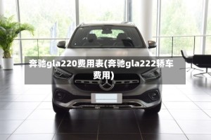 奔驰gla220费用表(奔驰gla222轿车费用)