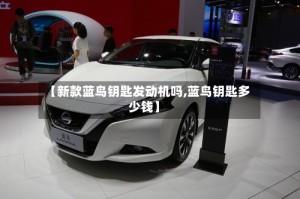 【新款蓝鸟钥匙发动机吗,蓝鸟钥匙多少钱】