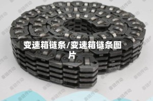 变速箱链条/变速箱链条图片