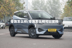 零跑怎么样(零跑怎么样可以买吗)