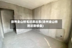 徐州金山桥毛坯房出售(徐州金山桥附近新楼盘)