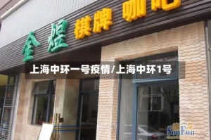 上海中环一号疫情/上海中环1号