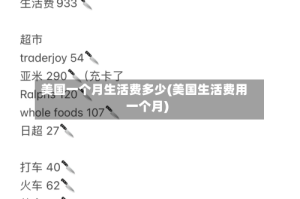 美国一个月生活费多少(美国生活费用一个月)