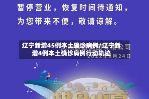 辽宁新增45例本土确诊病例/辽宁新增4例本土确诊病例行动轨迹