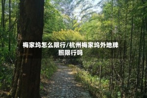 梅家坞怎么限行/杭州梅家坞外地牌照限行吗
