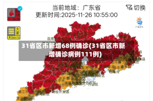 31省区市新增68例确诊(31省区市新增确诊病例111例)