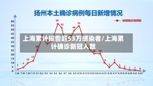 上海累计报告超53万感染者/上海累计确诊新冠人数-第1张图片