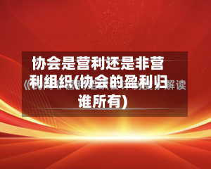 协会是营利还是非营利组织(协会的盈利归谁所有)-第1张图片