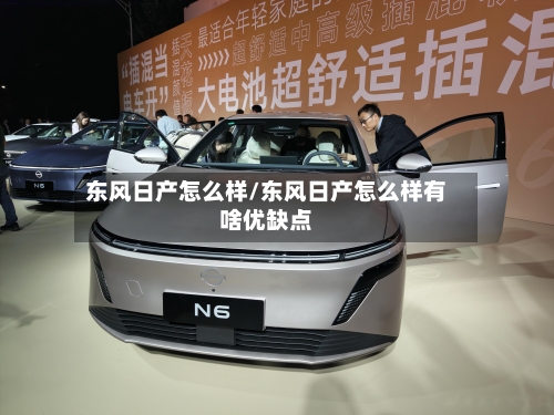 东风日产怎么样/东风日产怎么样有啥优缺点-第2张图片