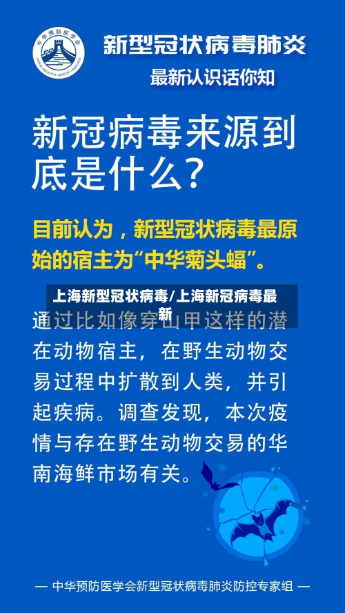 上海新型冠状病毒/上海新冠病毒最新-第2张图片