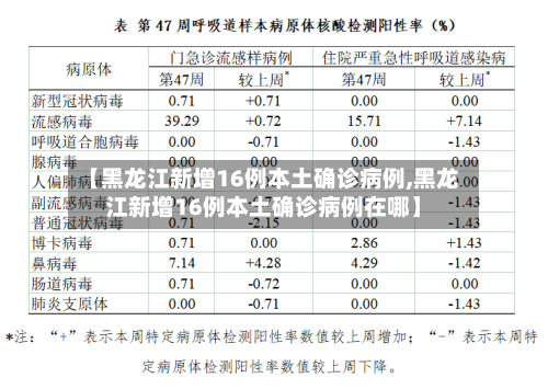 【黑龙江新增16例本土确诊病例,黑龙江新增16例本土确诊病例在哪】-第1张图片