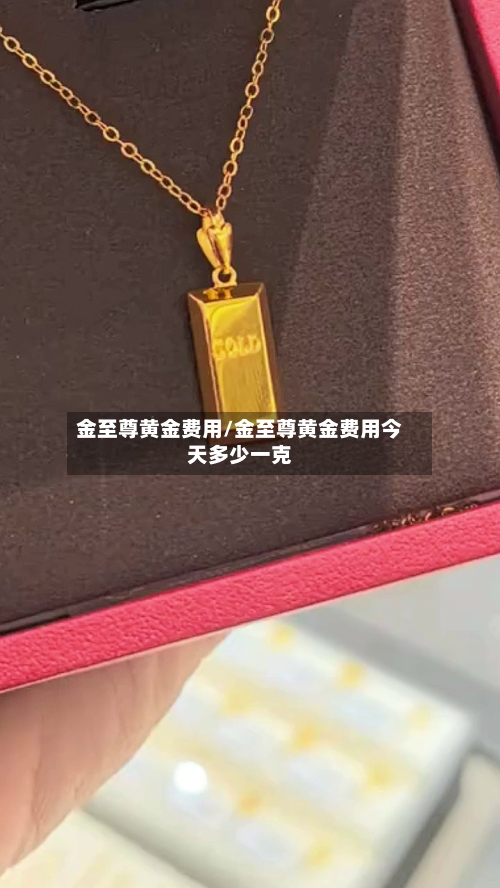 金至尊黄金费用/金至尊黄金费用今天多少一克-第1张图片