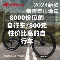 8000价位的自行车/800元性价比高的自行车-第2张图片