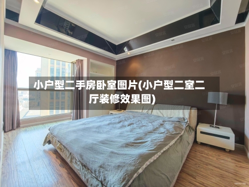 小户型二手房卧室图片(小户型二室二厅装修效果图)-第1张图片