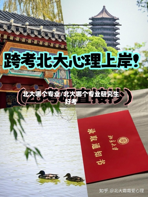 北大哪个专业/北大哪个专业研究生好考-第3张图片