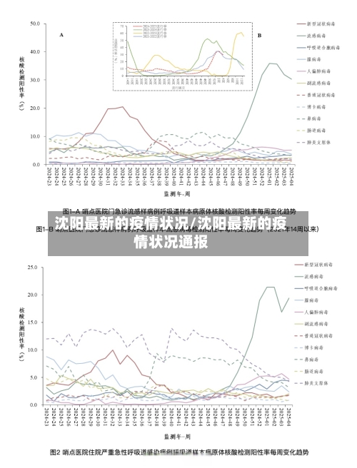 沈阳最新的疫情状况/沈阳最新的疫情状况通报-第1张图片