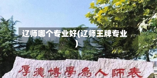 辽师哪个专业好(辽师王牌专业)-第1张图片