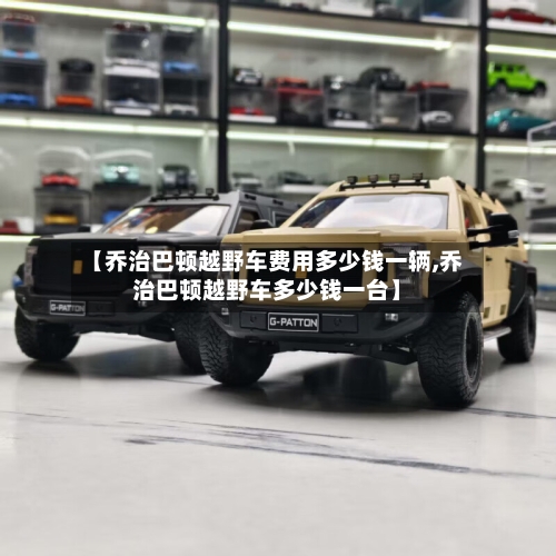 【乔治巴顿越野车费用多少钱一辆,乔治巴顿越野车多少钱一台】-第2张图片