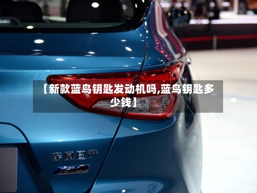 【新款蓝鸟钥匙发动机吗,蓝鸟钥匙多少钱】-第2张图片