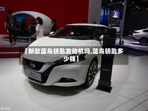 【新款蓝鸟钥匙发动机吗,蓝鸟钥匙多少钱】-第1张图片