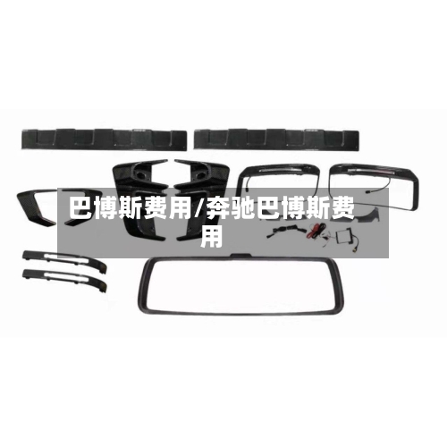 巴博斯费用/奔驰巴博斯费用-第2张图片