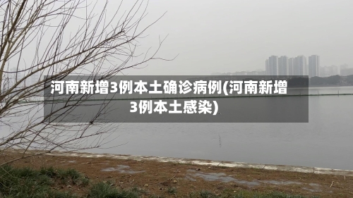 河南新增3例本土确诊病例(河南新增3例本土感染)-第2张图片