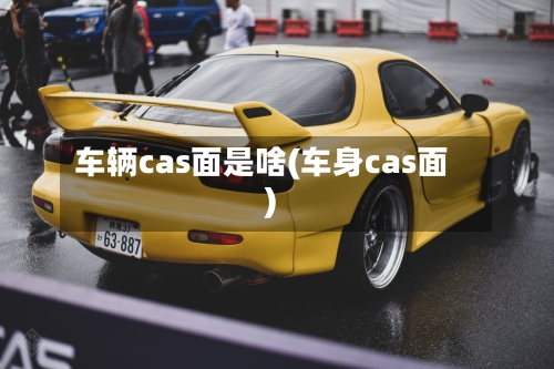 车辆cas面是啥(车身cas面)-第2张图片