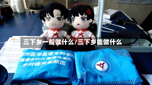 三下乡一般做什么/三下乡能做什么-第1张图片