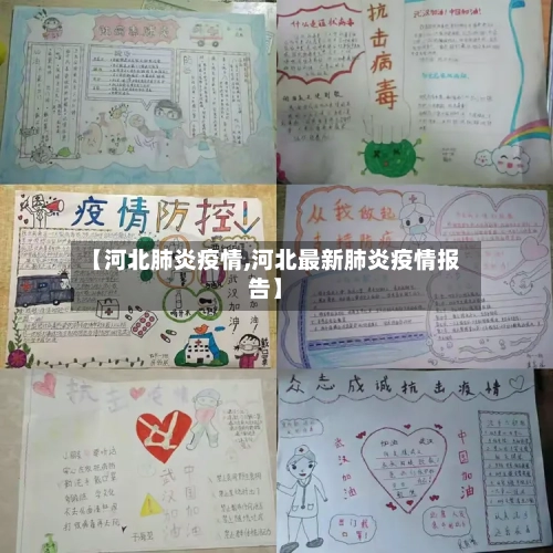 【河北肺炎疫情,河北最新肺炎疫情报告】-第3张图片