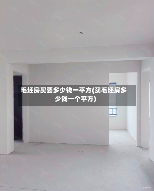 毛坯房买要多少钱一平方(买毛坯房多少钱一个平方)-第2张图片