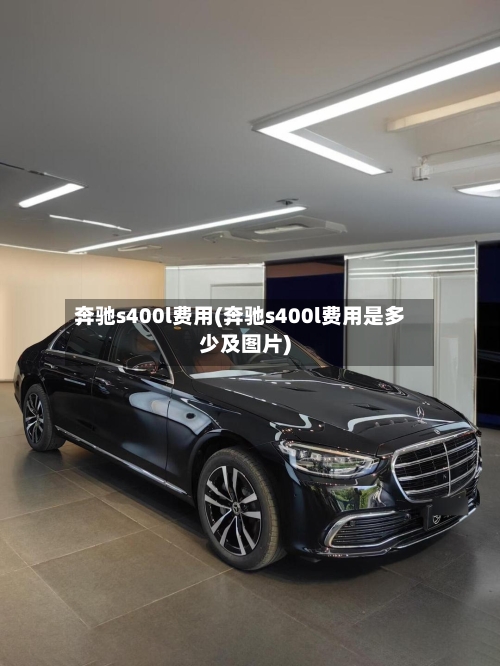 奔驰s400l费用(奔驰s400l费用是多少及图片)-第2张图片