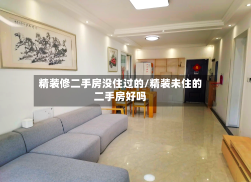 精装修二手房没住过的/精装未住的二手房好吗-第1张图片