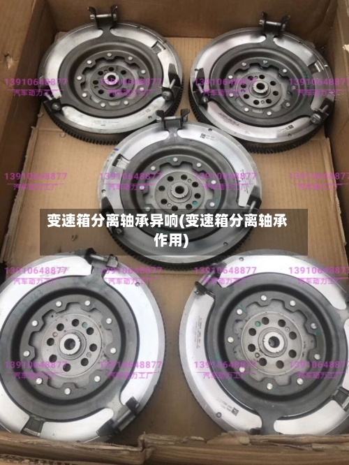 变速箱分离轴承异响(变速箱分离轴承作用)-第1张图片