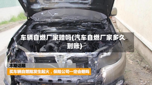 车辆自燃厂家赔吗(汽车自燃厂家多久到账)-第2张图片