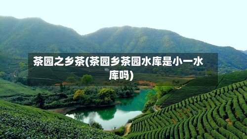 茶园之乡茶(茶园乡茶园水库是小一水库吗)-第3张图片