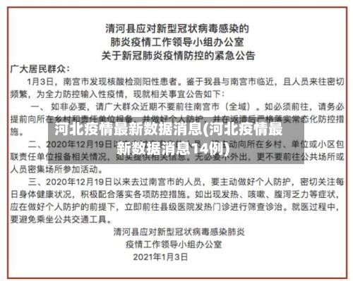 河北疫情最新数据消息(河北疫情最新数据消息14例)-第3张图片