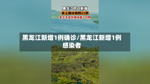 黑龙江新增1例确诊/黑龙江新增1例感染者-第2张图片