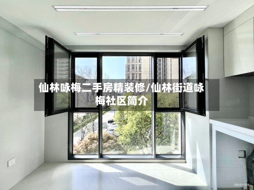 仙林咏梅二手房精装修/仙林街道咏梅社区简介-第2张图片