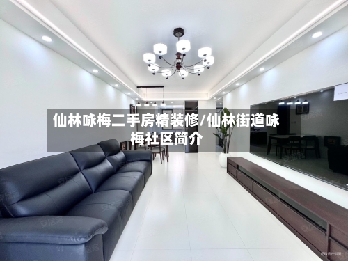 仙林咏梅二手房精装修/仙林街道咏梅社区简介-第1张图片