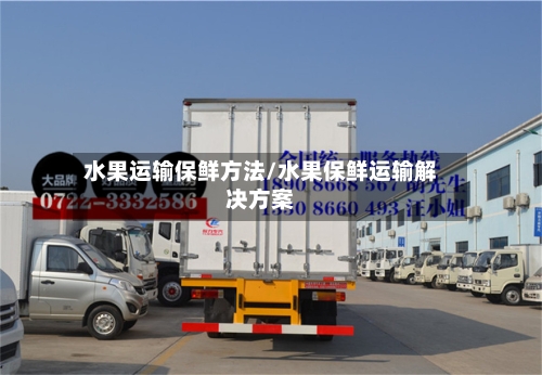 水果运输保鲜方法/水果保鲜运输解决方案-第1张图片