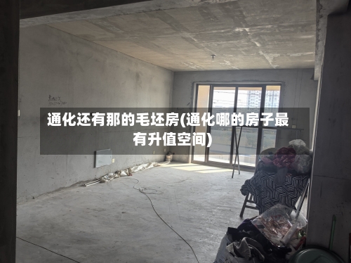 通化还有那的毛坯房(通化哪的房子最有升值空间)-第1张图片