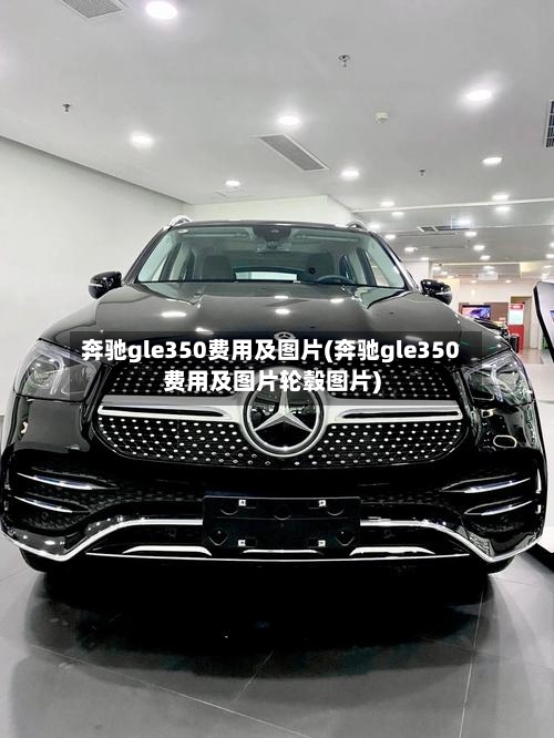 奔驰gle350费用及图片(奔驰gle350费用及图片轮毂图片)-第1张图片
