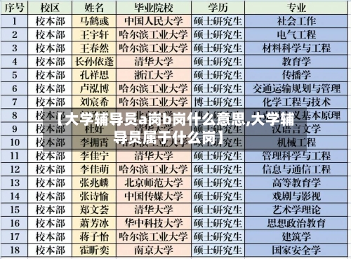 【大学辅导员a岗b岗什么意思,大学辅导员属于什么岗】-第1张图片