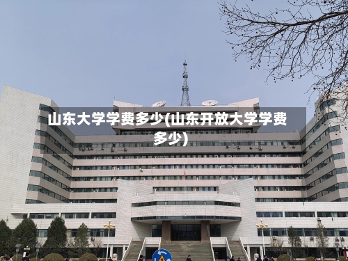 山东大学学费多少(山东开放大学学费多少)-第2张图片