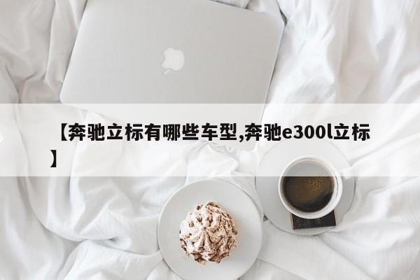 【奔驰立标有哪些车型,奔驰e300l立标】